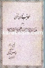 کتاب مکاتیب فارسی غزالی به‌ نام فضائل الانام من رسائل حجة‌الاسلام